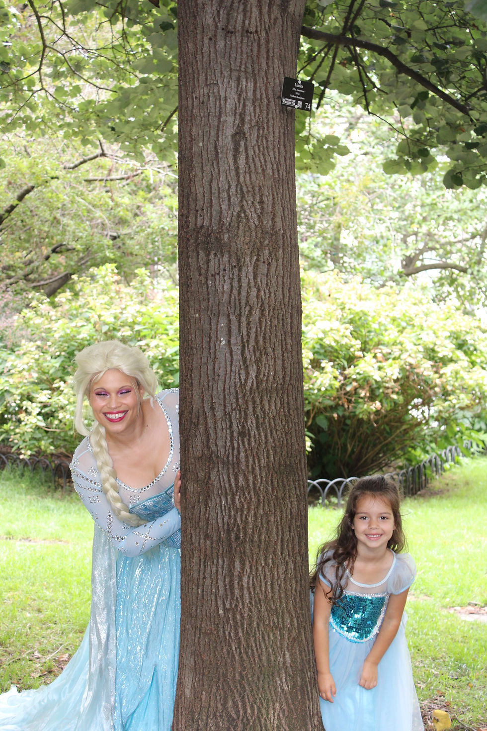 How to Plan the Perfect Elsa Summer Birthday Party at Home in NYC