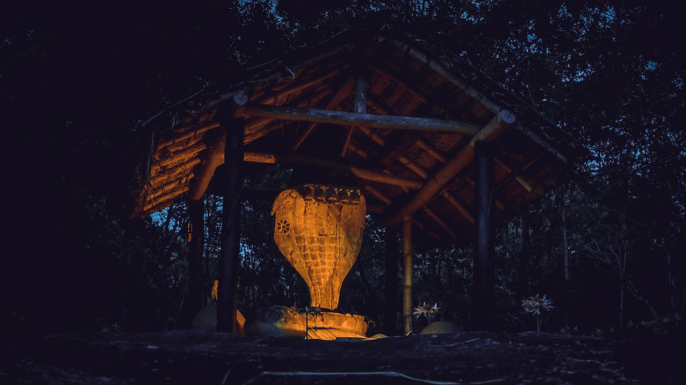 Galapita Eco Lodge At Night