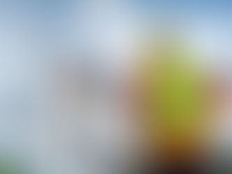 Assistant Safety Officer - Construction