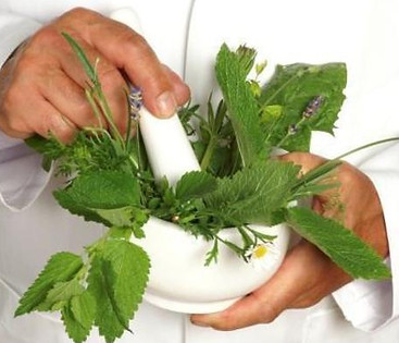 Naturologia Herbal