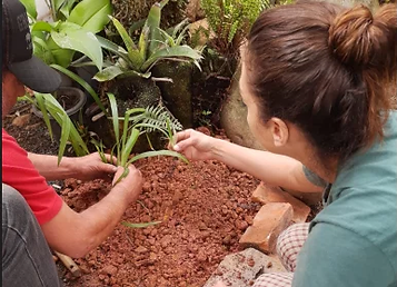 Naturologia na Horta