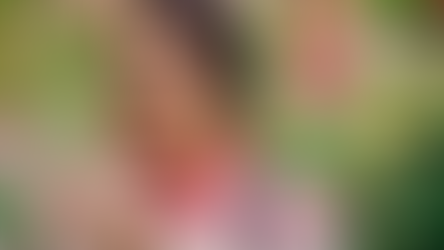 Natural Relief for Seasonal Allergies: A Holistic Approach