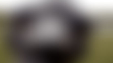 High Court of Australia Determination