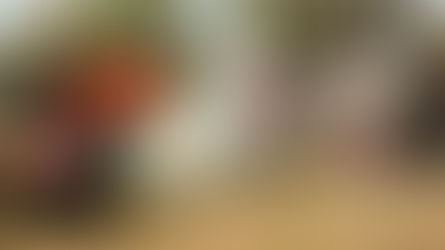 Important Leard Forest Gathering This Monday