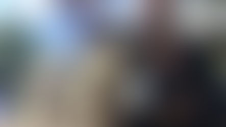 PRB’s Back – “The Return of Sherlock The Amazing Activist Dog”