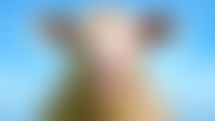 The Parable Of The Sheep