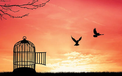 FREEDOM