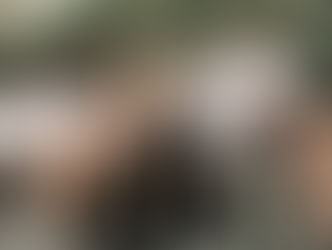 Pastor Paul Court Update