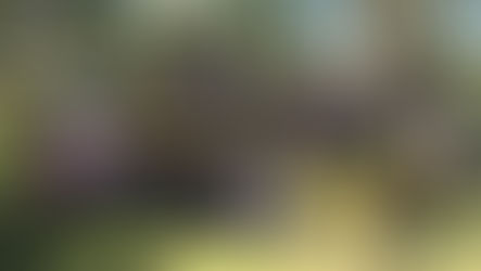 Gloucester Celebrates