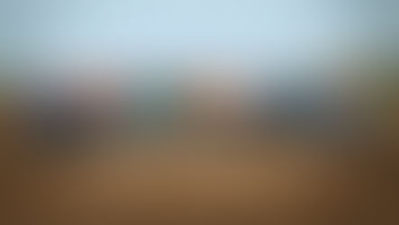 Wrong Mine Wrong Place