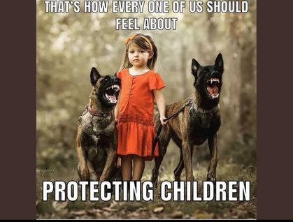 Constitutional Challenge of Section 105 of the Child Protection Act NSW
