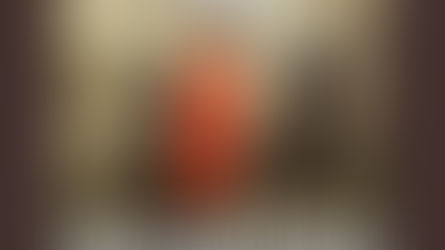 Constitutional Challenge of Section 105 of the Child Protection Act NSW