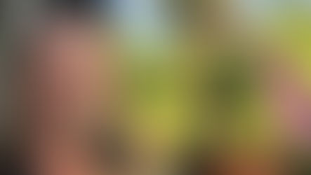 Sunrise at Crescent Head