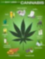 Hemp.jpg