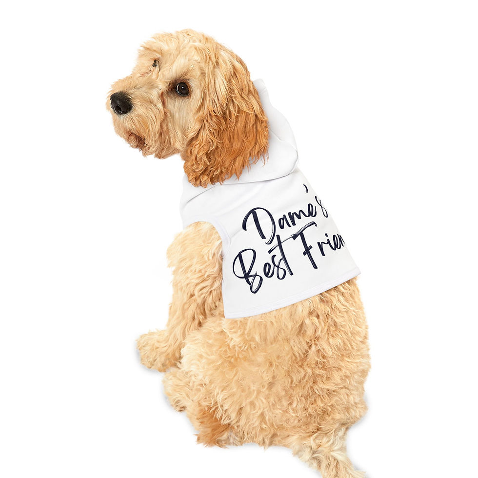 Thumbnail: Dame's Best Friend Pet Hoodie