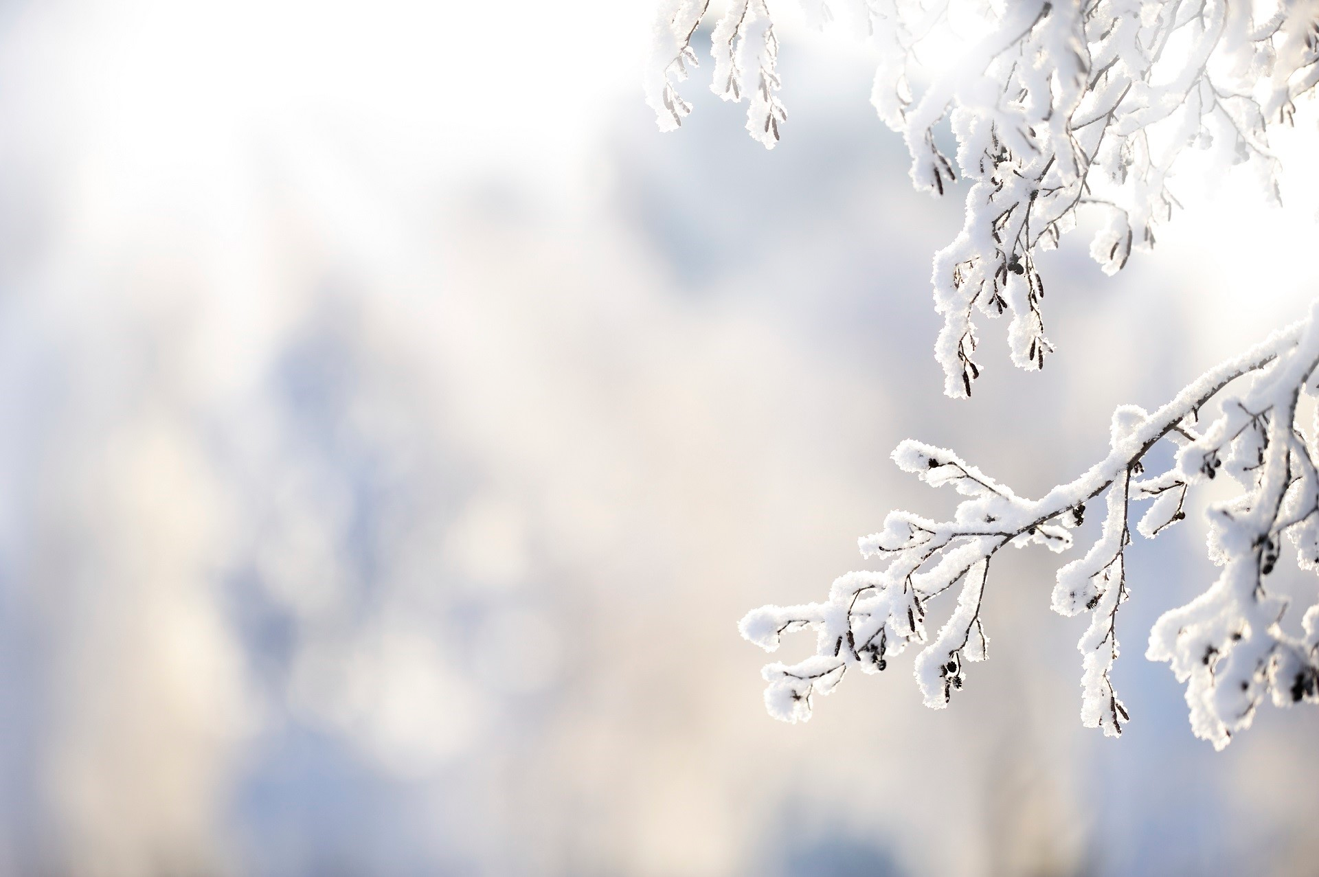 Holiday Stress Relief Through Movement with Penn Center for Mindfulness