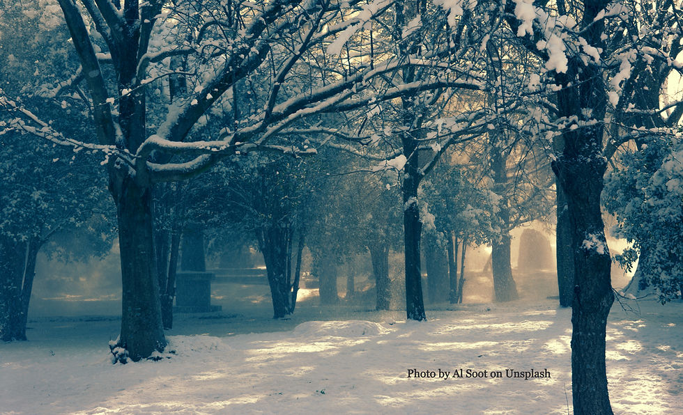Winter Solstice Early Morning Retreat Week