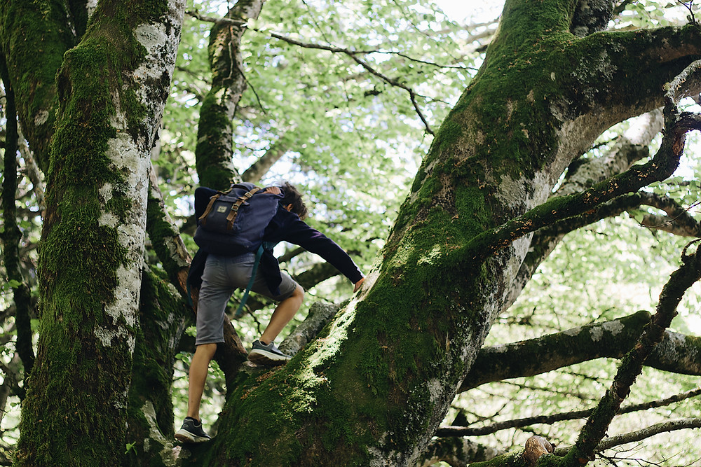 Trees Are The Best Natural Playground - imagination and creativity