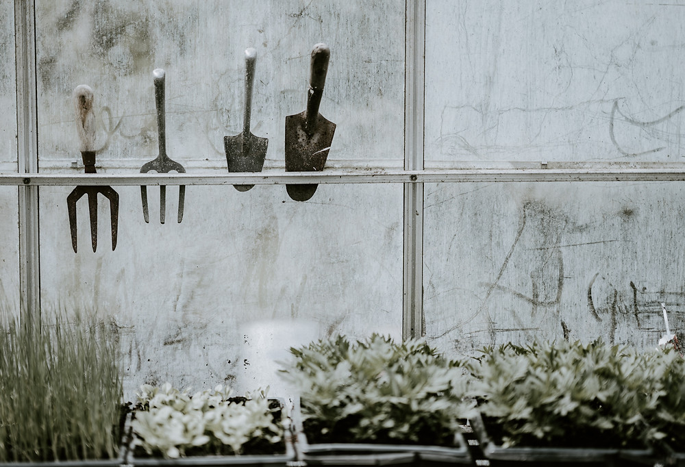 Outdoor permaculture garden