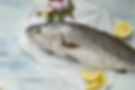 Corvina Entera