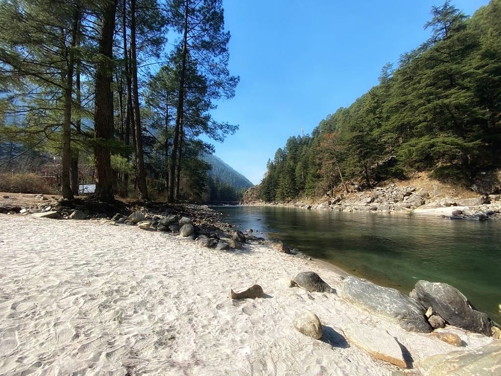 Kasol 2022
