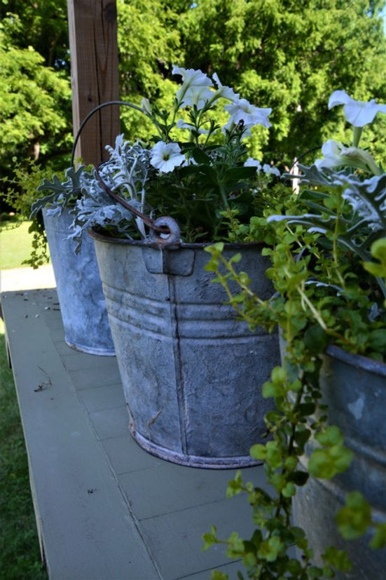 flowers in bucket