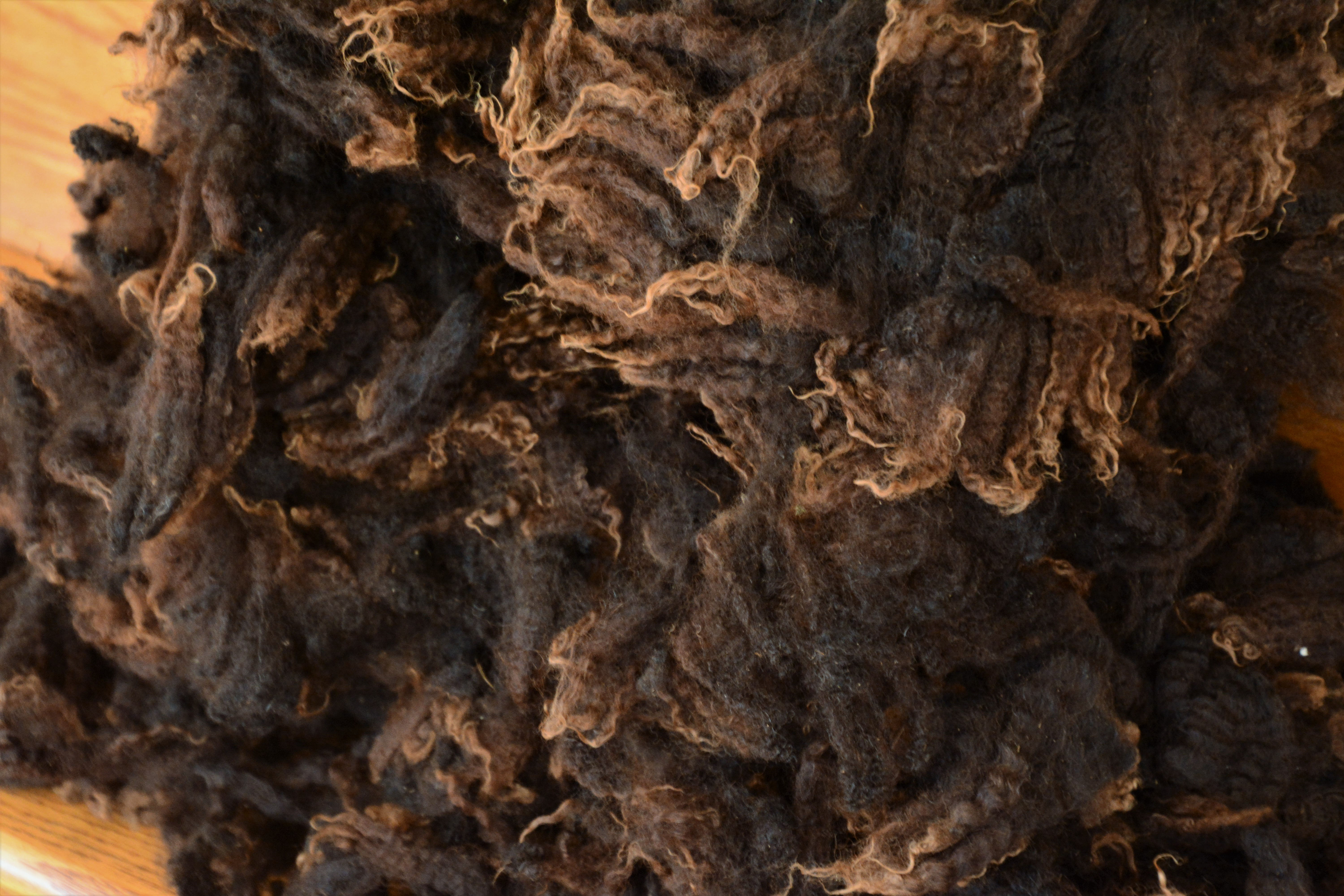 Raw Brown BFLX Fleece | 853