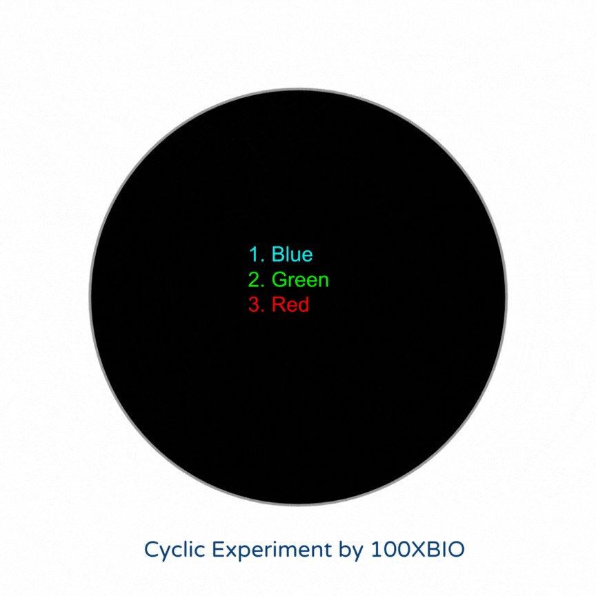 Standard, Independent Testing (1).gif