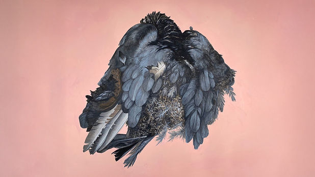 vulture-18x24-gouache-on-paper-extended-background-wiebsite-crop_orig.jpg