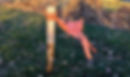 img-9821_orig-clouded-title_edited.jpg