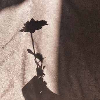 Flower Shadow_edited_edited_edited.jpg