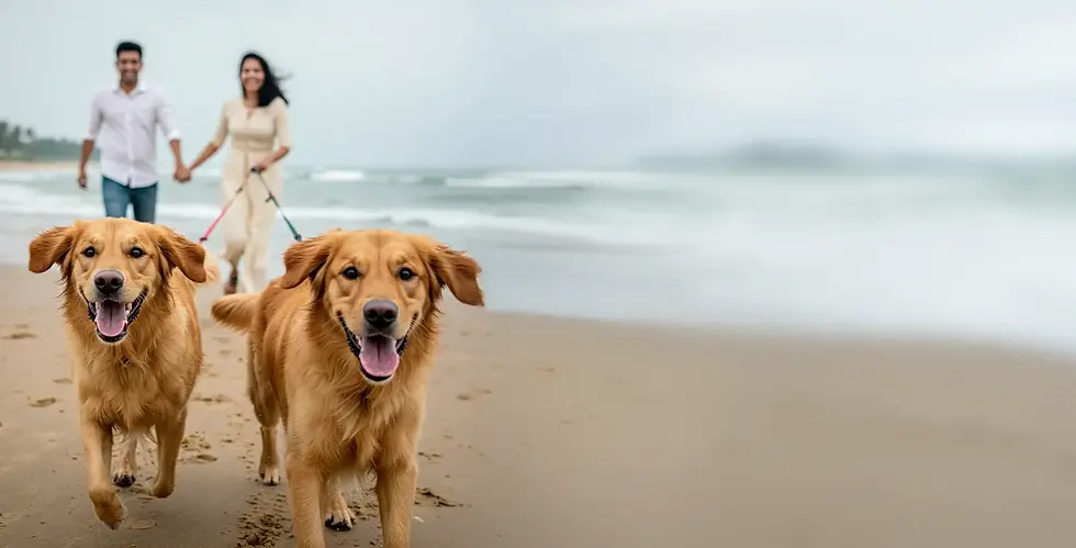 New Project (37) (1) (1) (1) (1) (2) (10) (11) (2) (9) (1).webp