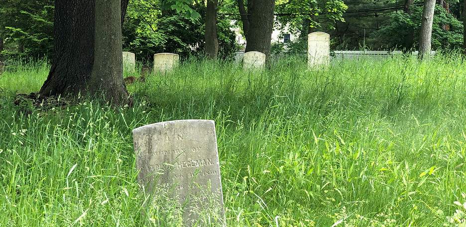 Monfort Cemetery_20200524_0037.jpg