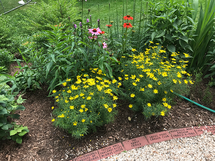 Garden-Spring-Flowers-2019.gif