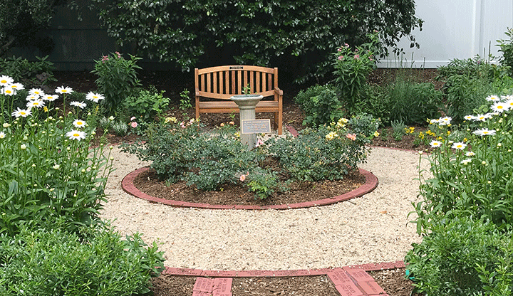 Garden-Spring-2019.gif