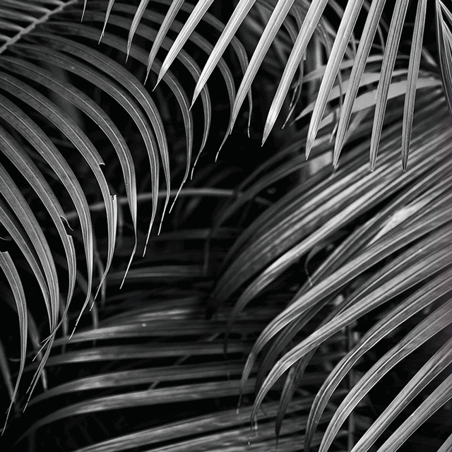 11_Miami_2