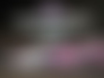 LIMITED LATE MODEL UPDATE