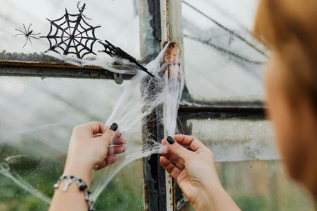 Get Ready for Halloween with LizMarie Cleaning Services