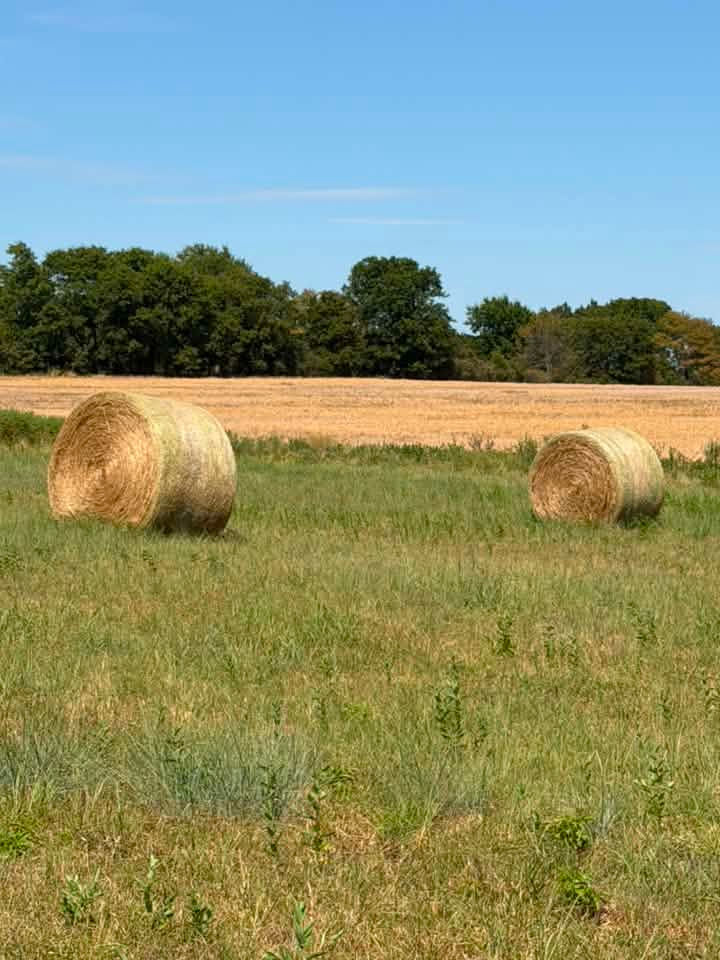 Weeny Keener- Round bales.jpg