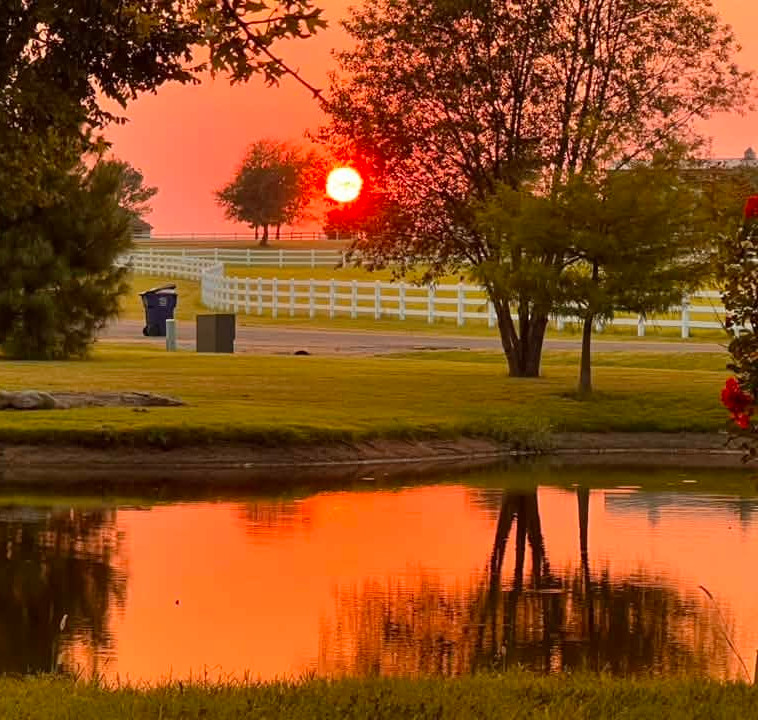 Christy Richmond- Sunset.jpg