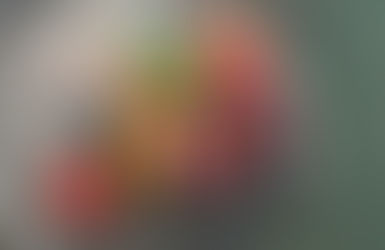 What's in a Throw Bag?