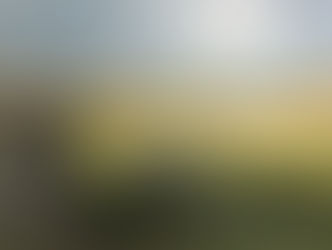 Great options for local summer adventure!