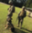 military dog and handlers _edited.jpg