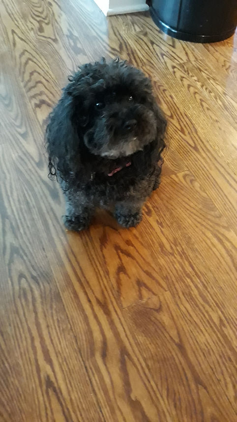 form_uploads_19130323_5d1eb6d9-1bb4-4ff5