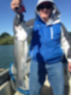 Delta Striper Fishing 2015