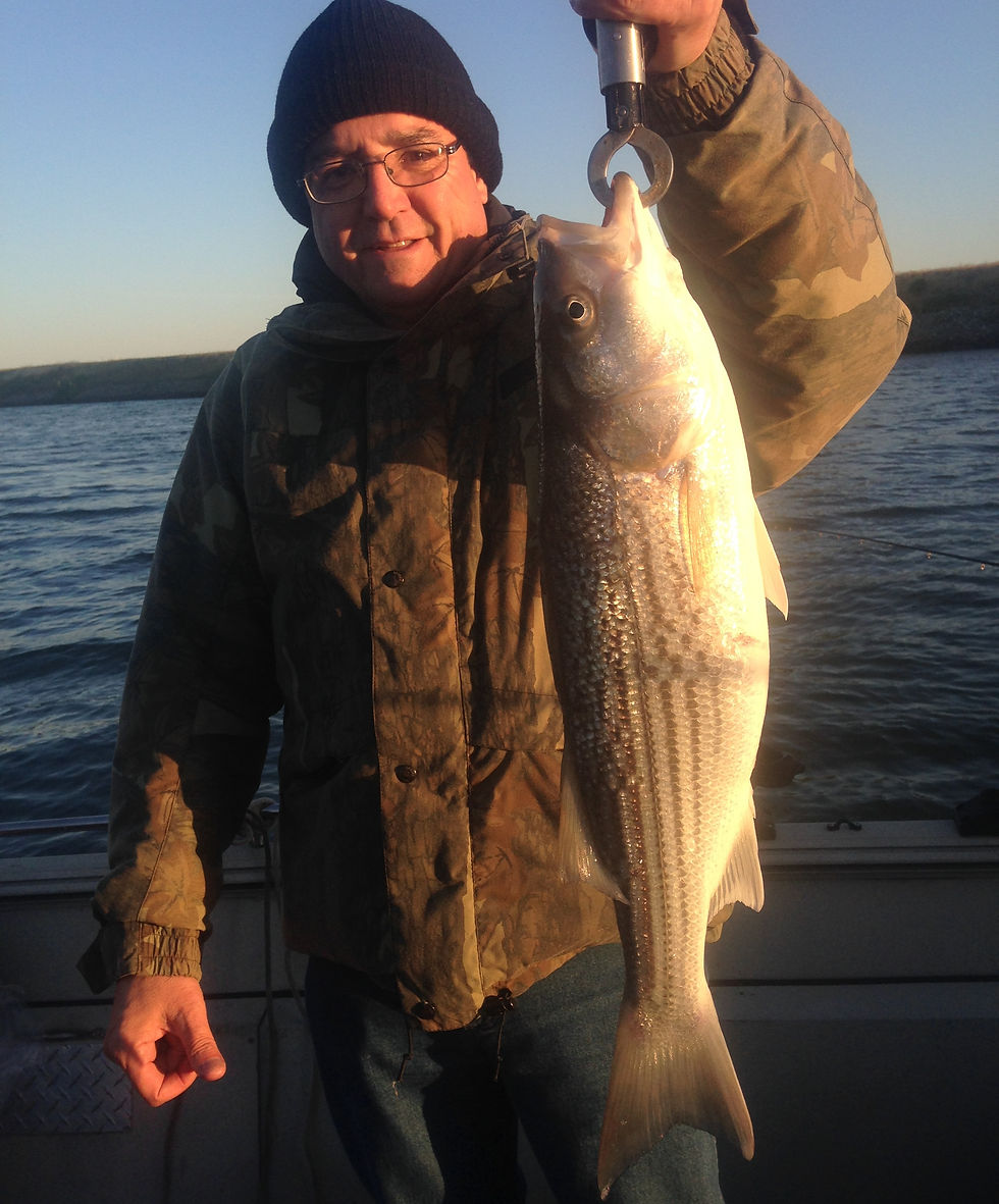 Delta Striper Fishing Report Sac River Fishing Report