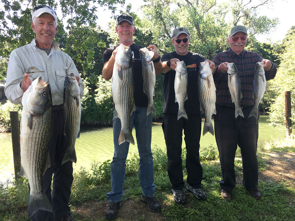 Delta Striper Fishing Report Sac River Fishing Report