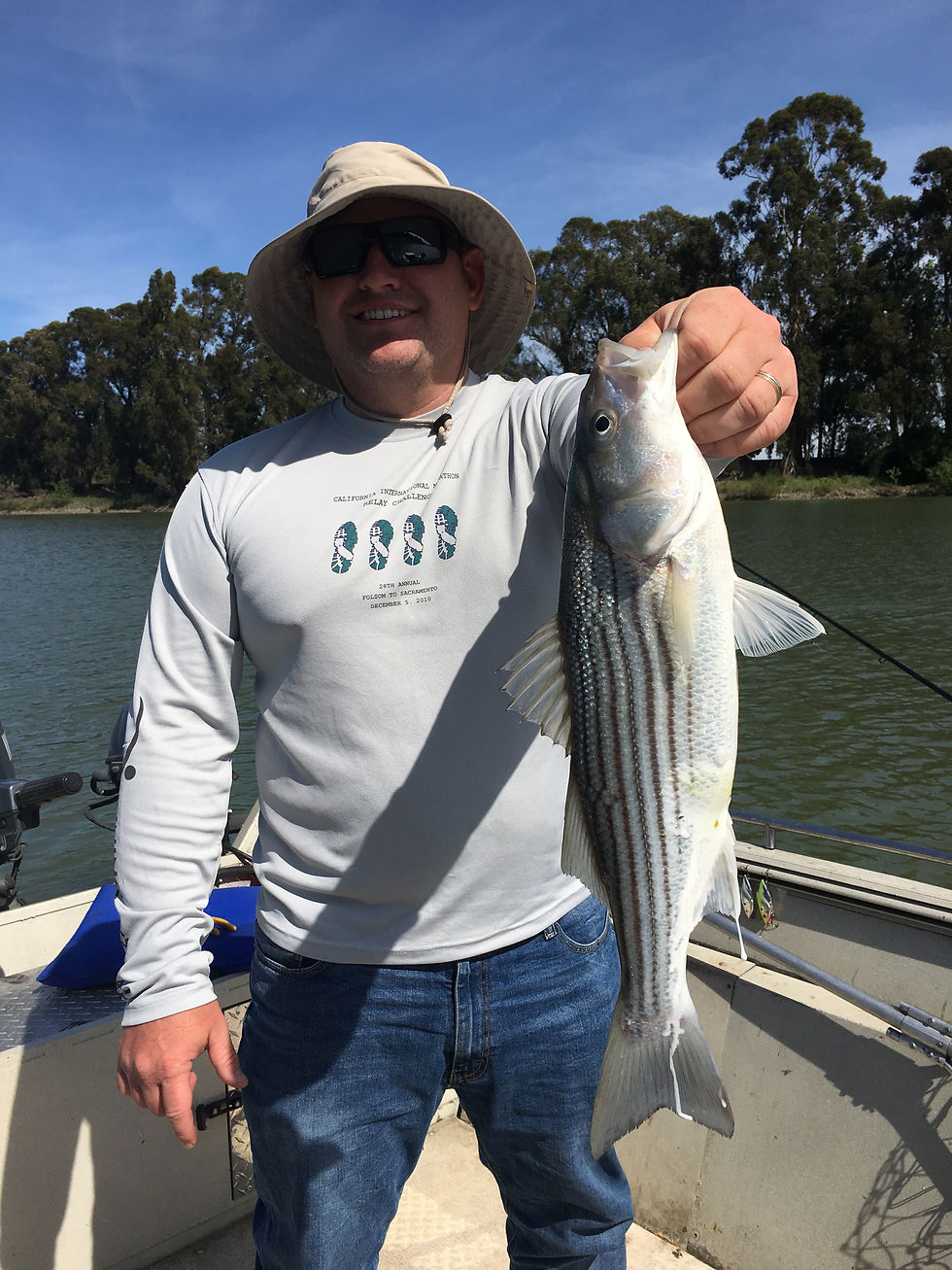 Delta Striper Fishing Report Sac River Fishing Report