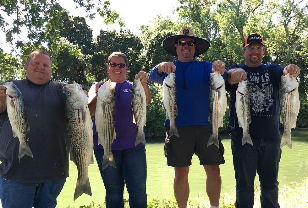 Delta Striper Fishing Report Sac River Fishing Report