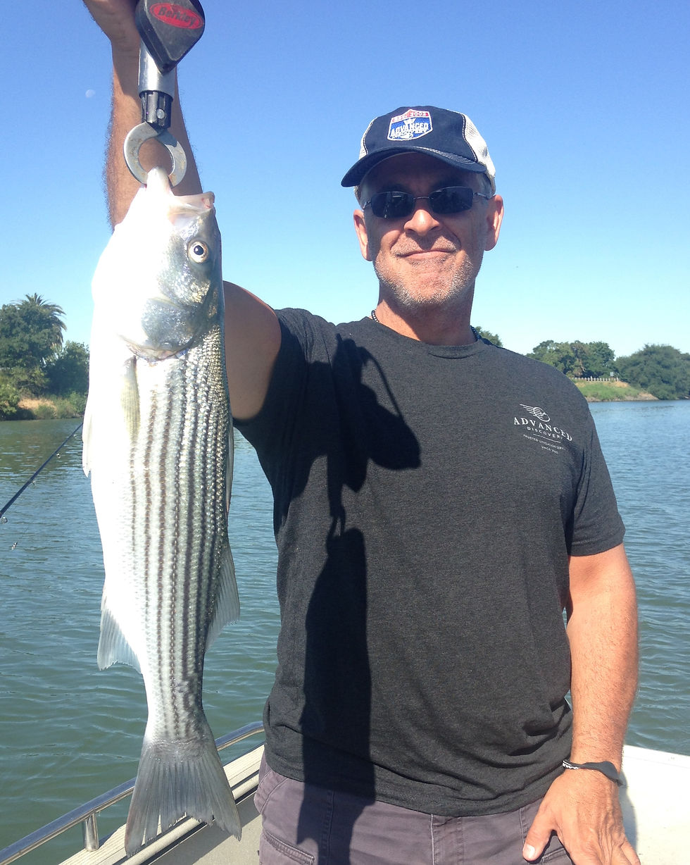 Delta Striper Fishing Report Sac River Fishing Report